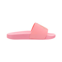 Pool Slide Ancher - Pink