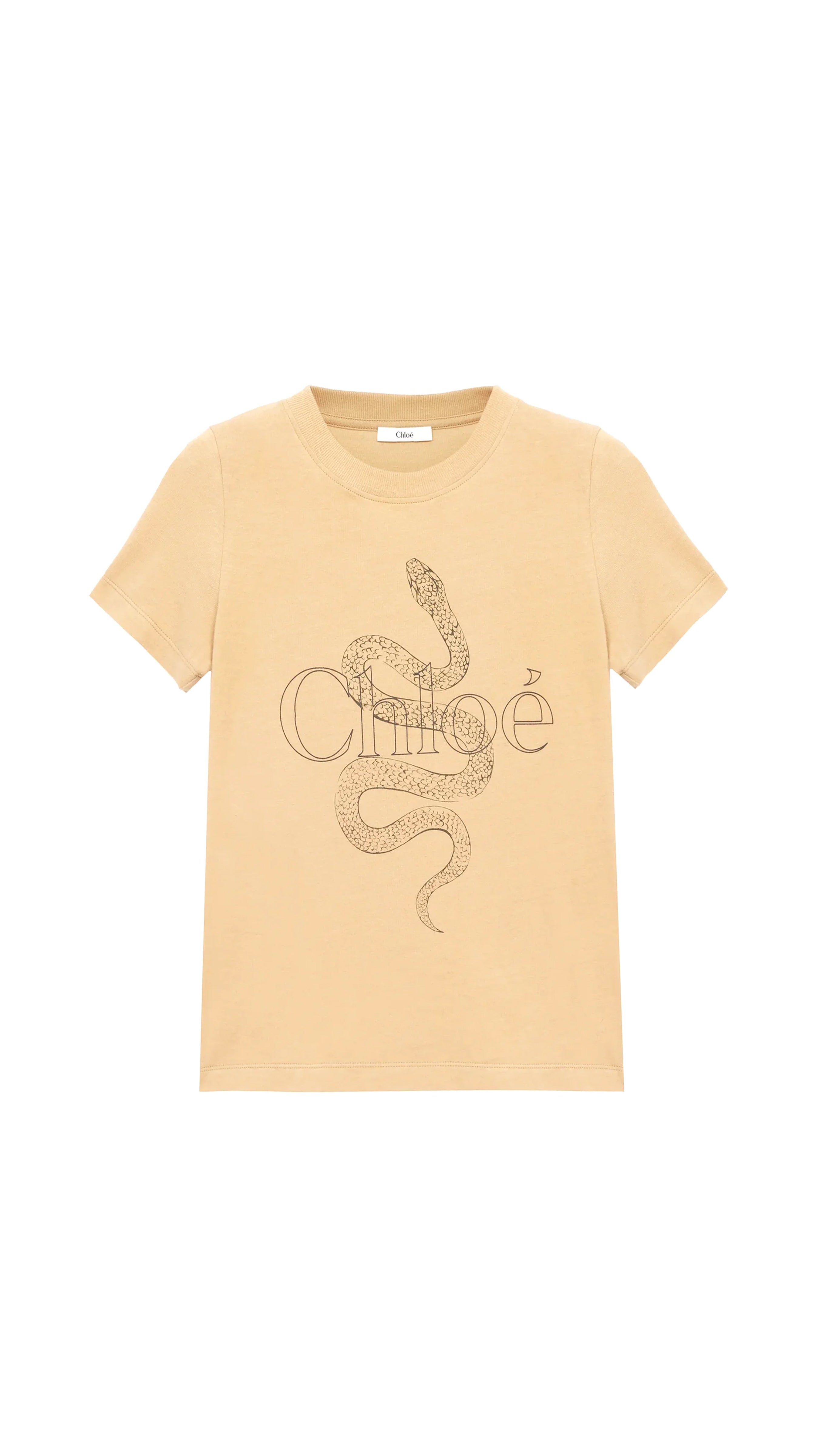 Baby Fit Logo T-shirt In Cotton Jersey - Milky Brown