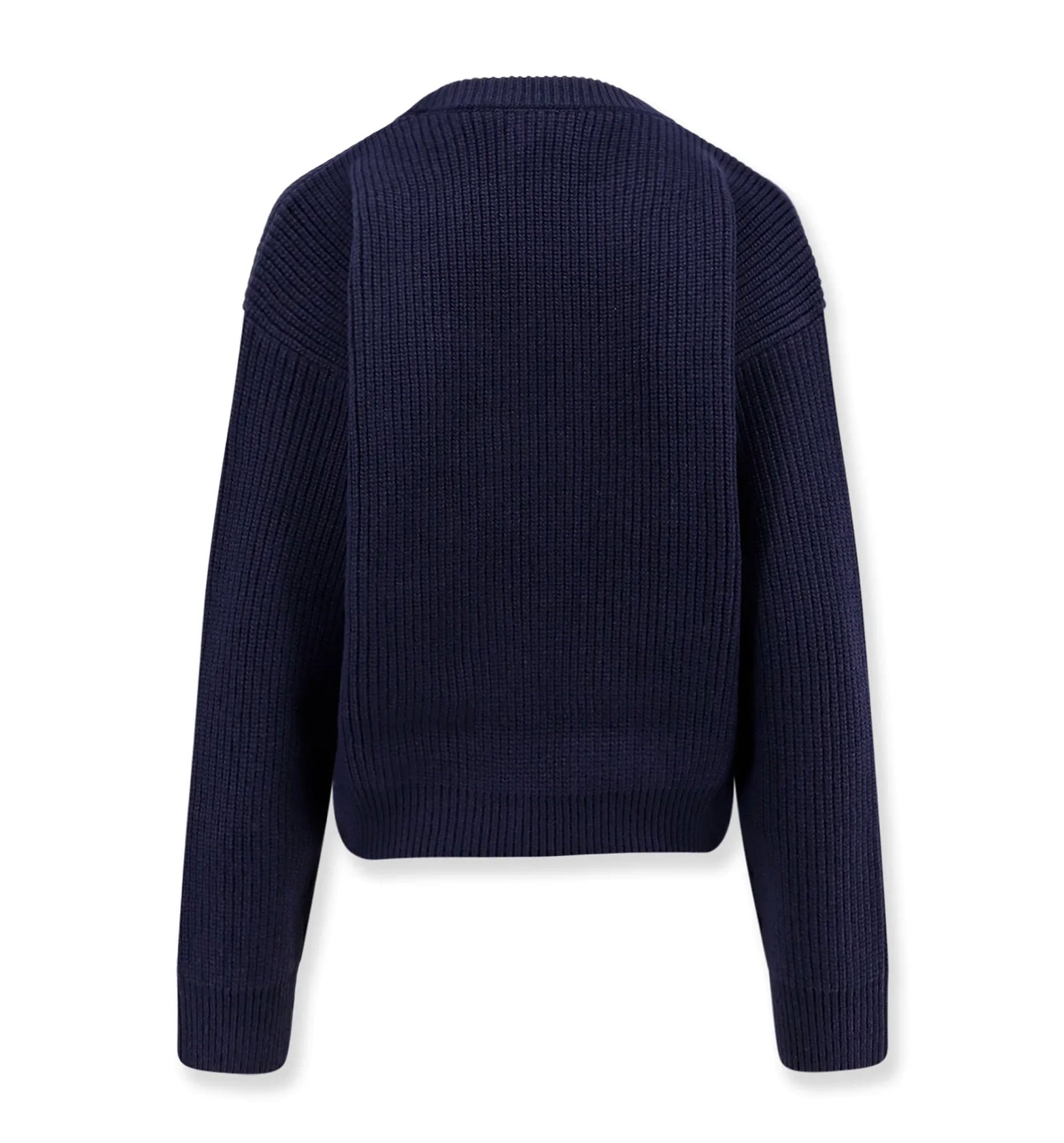 Triomphe Knit Sweater in Wool and Cashmere - Blue