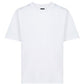 Fendi Roma Logo T-Shirt - White